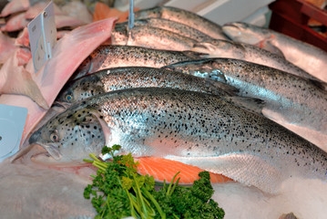 240_F_81828046_tvhAFfqItB4rCH4XolNGaoacqJlqO4